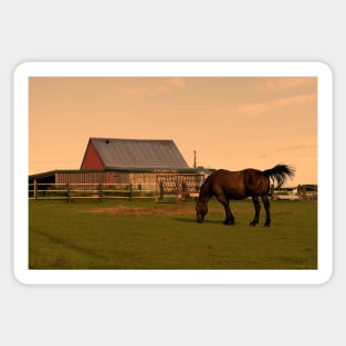 Sunset at Hatfield Farm Sticker